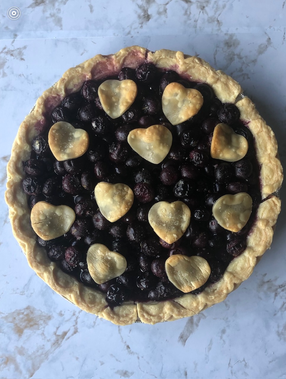 Blueberry Lemon Pie