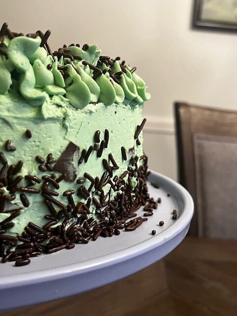 Chocolate Mint Cake